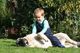 ENFANT ET CHIEN 603